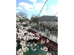 新城さくらまつり