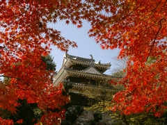 西尾城と旧近衛邸（西尾市歴史公園）