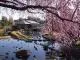 白鳥庭園