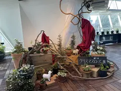 国営木曽三川公園 フラワーパーク江南