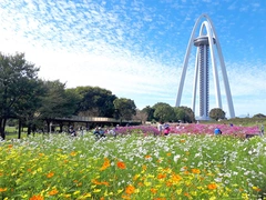 １３８タワーパーク