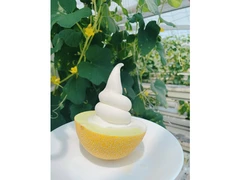 ストロベリーパークみふね