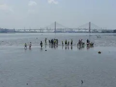 藤前干潟