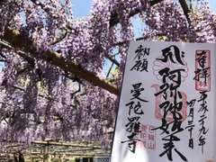 曼陀羅寺公園