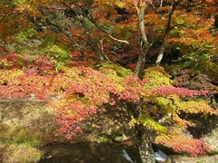 定光寺　定光寺公園