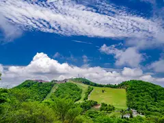茶臼山高原