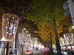 広小路イルミネーション
