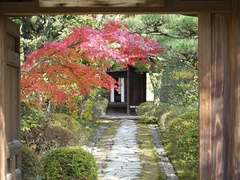 有楽苑(国宝茶室如庵)
