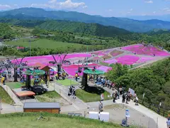 茶臼山高原