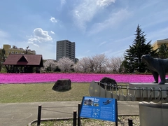 ミササガパーク（猿渡公園）メイプルのモニュメント
