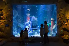 シーライフ名古屋