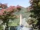 鳳来寺山もみじまつり