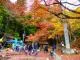 鳳来寺山もみじまつり