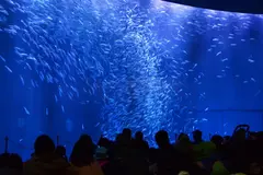 名古屋港水族館