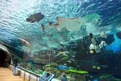 名古屋港水族館