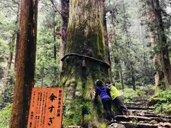 鳳来寺山・鳳来寺