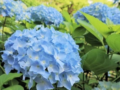 鶴舞公園　噴水塔夜