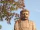 聚楽園公園　もみじまつり