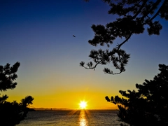竹島