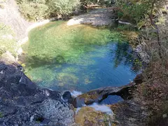 愛知県民の森