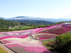春の茶臼山高原