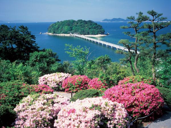 Aichi's Seafood and Ocean Scenery Course