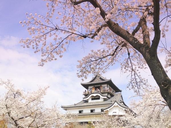 国宝犬山城と伝統の木曽川うかいを楽しむ旅