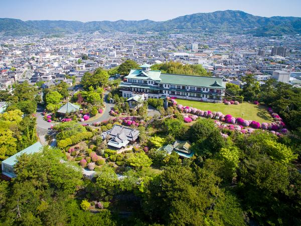 Aichi's Seafood and Ocean Scenery Course