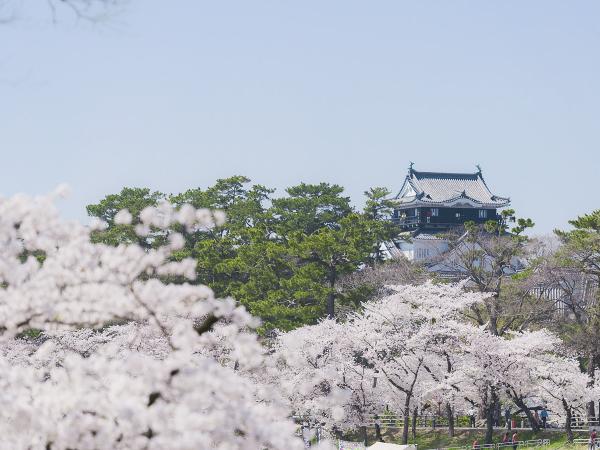 愛知の醸造文化と紅葉の名所香嵐渓で過ごす懐かしい日本の風景を体験する旅