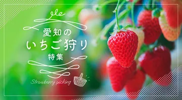 あいちのいちご狩り特集