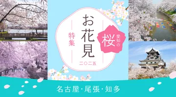 愛知の桜 お花見2025特集