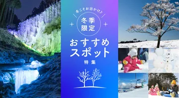 冬季限定おすすめスポット