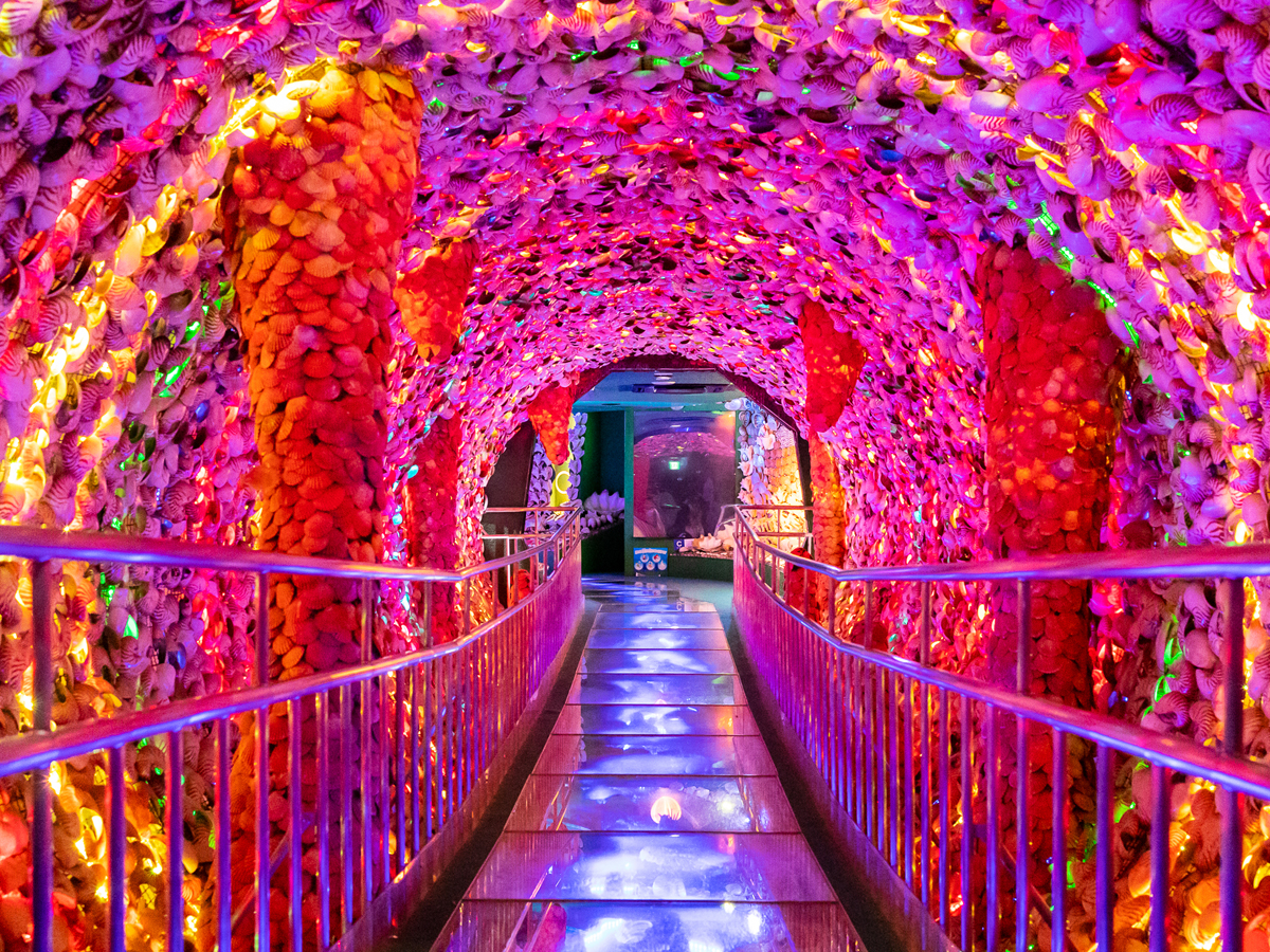 Takeshima Fantasy Museum