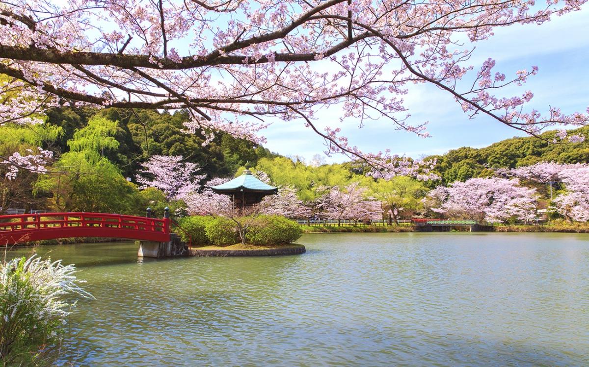 定光寺 定光寺公園
