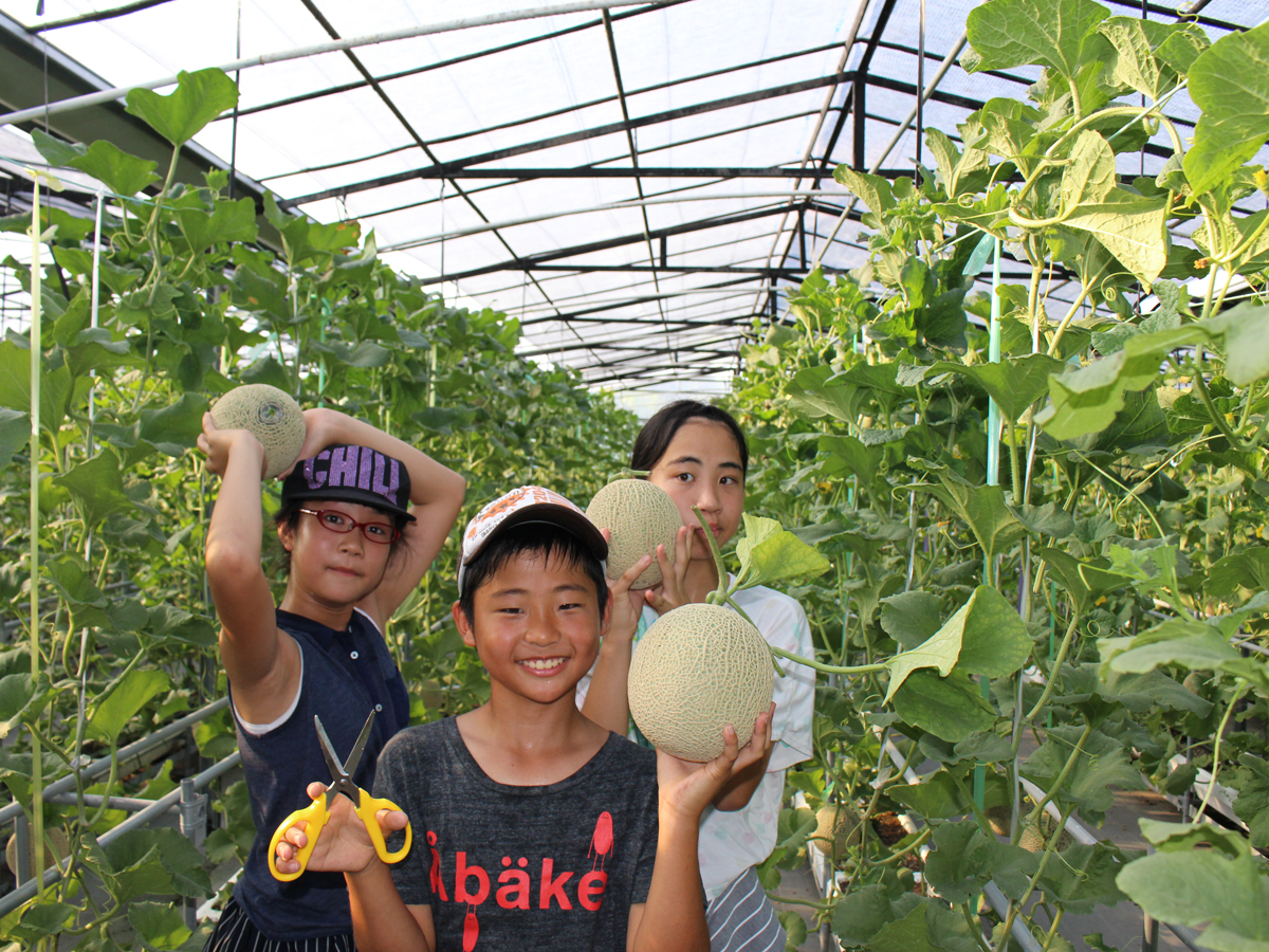 Tourism Farm Hana Hiroba