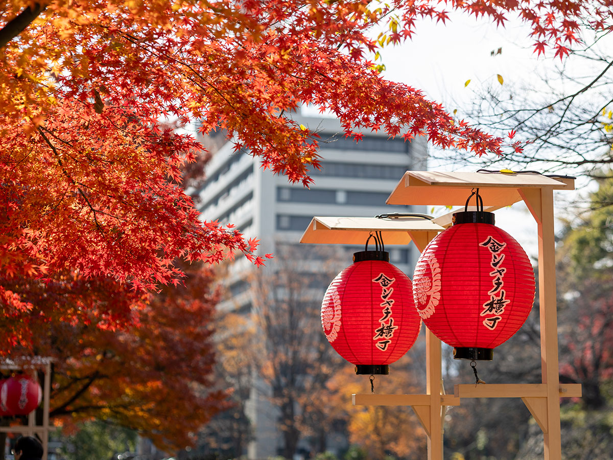 金鯱横丁