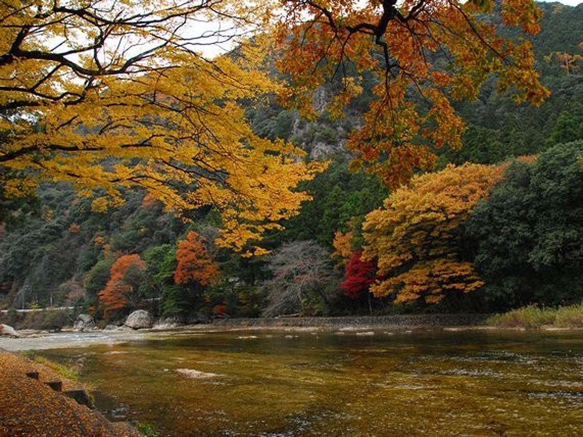 凤来峡・板敷川