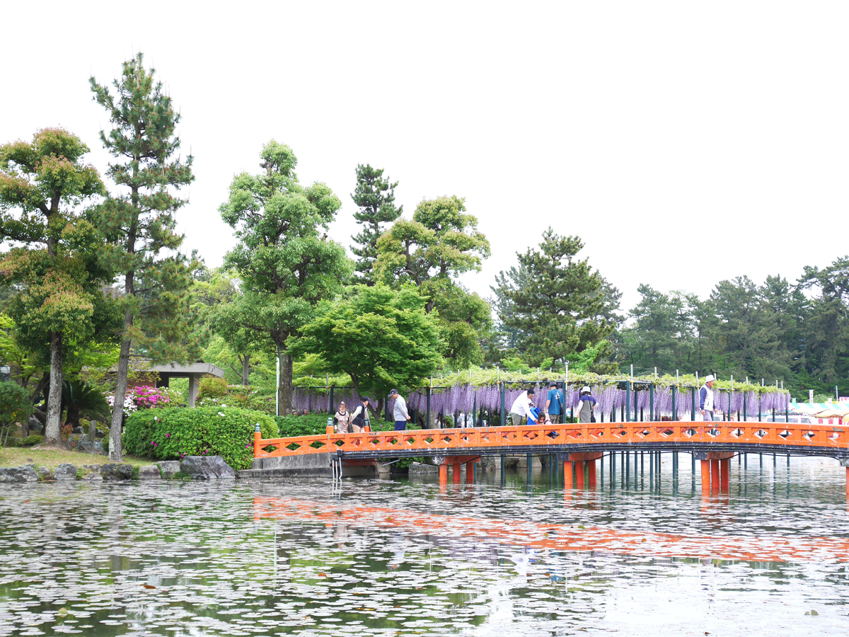 Tennogawa Park (Wisteria Festival)