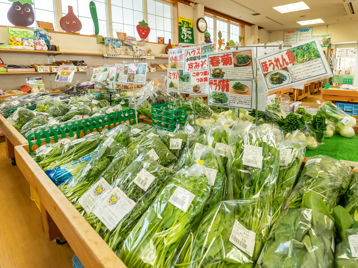 Roadside Station "Michi-no-Eki" Denpark Anjo
