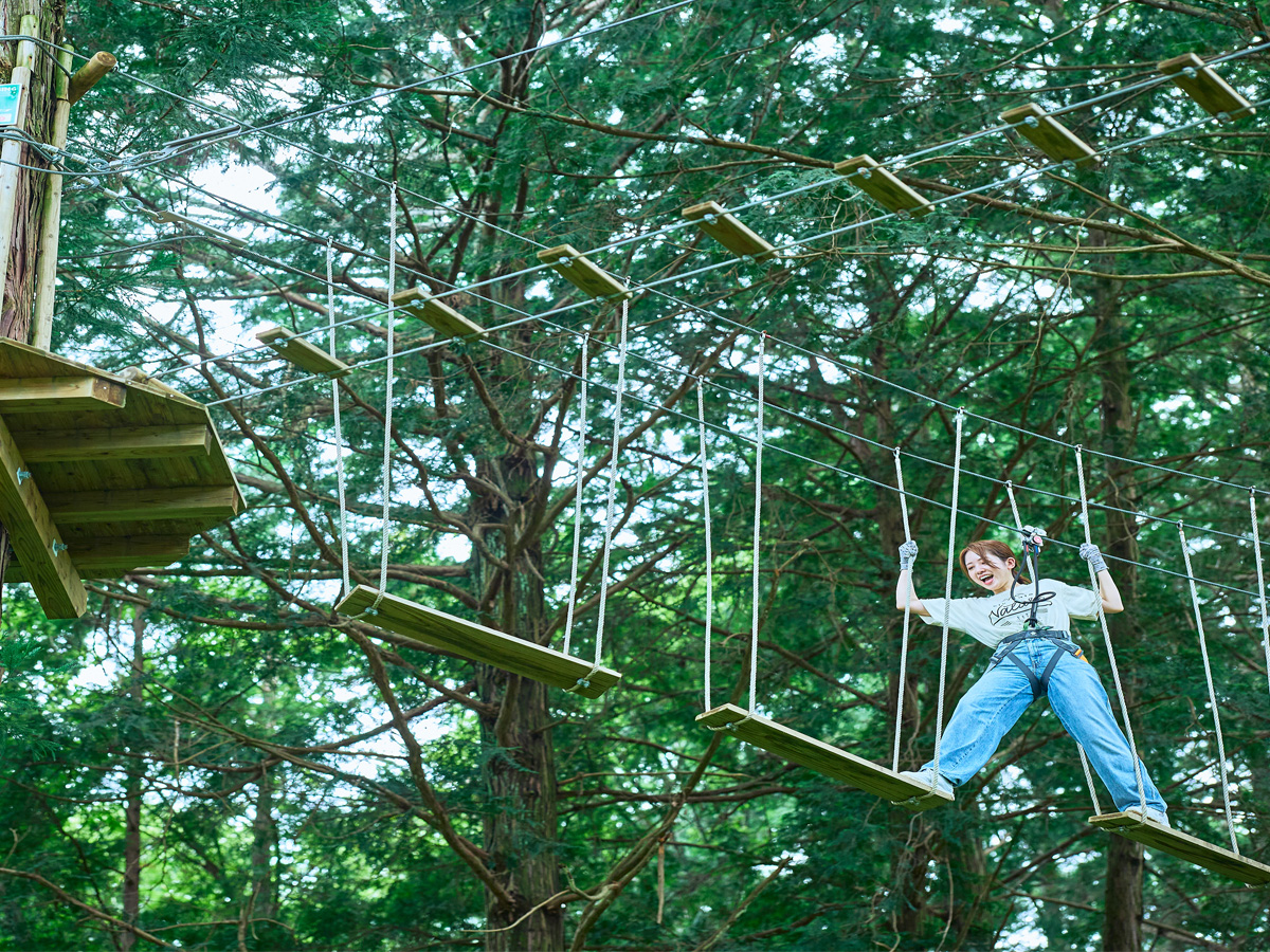 Forest Adventure SHINSHIRO