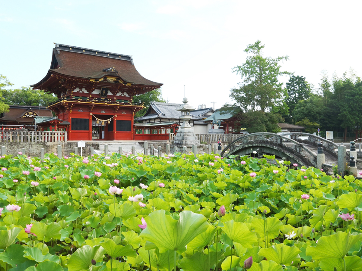 Iga Hachimangu Shrine