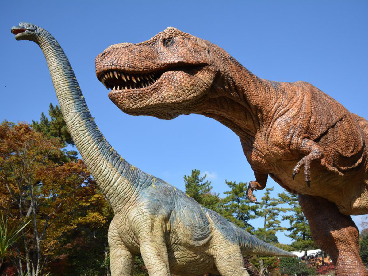Higashi Park