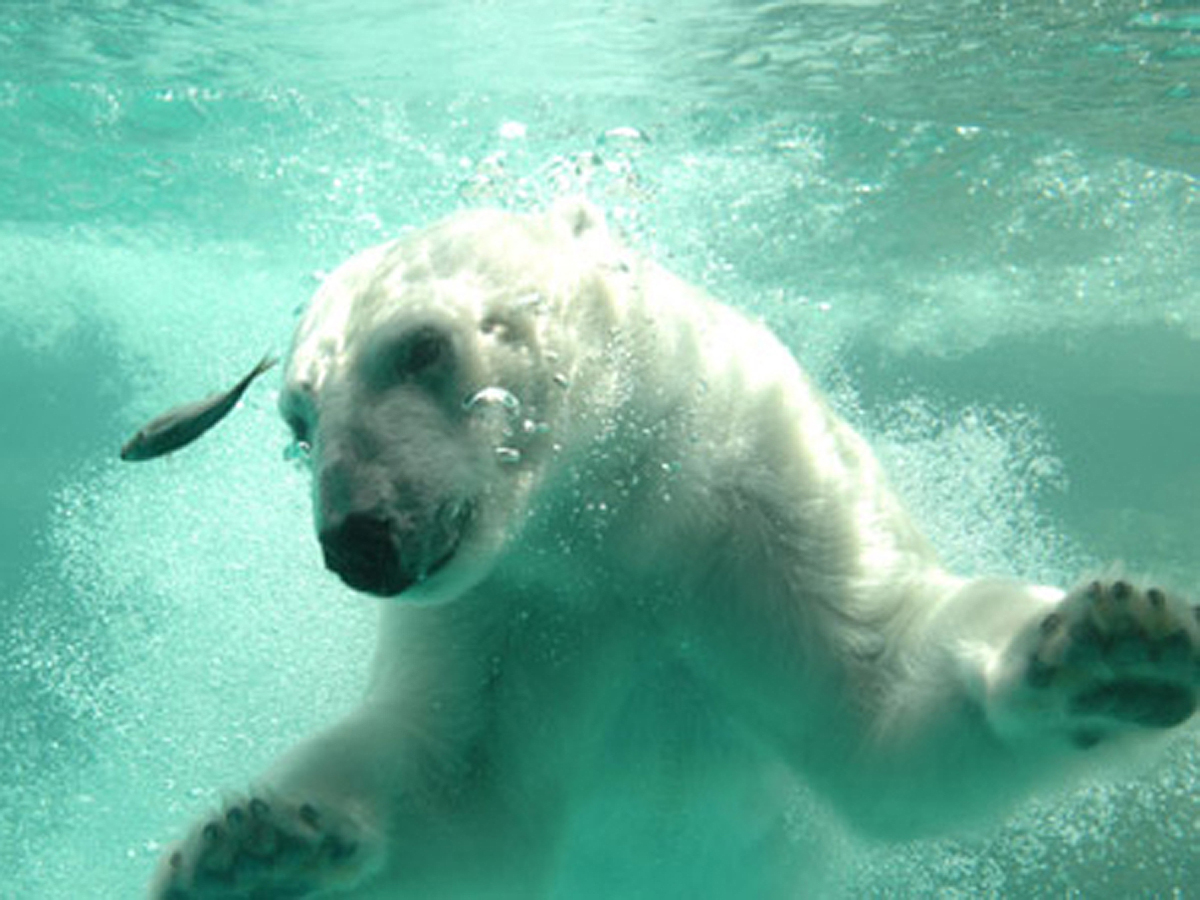 Toyohashi Zoo & Botanical Park (Non Hoi Park)