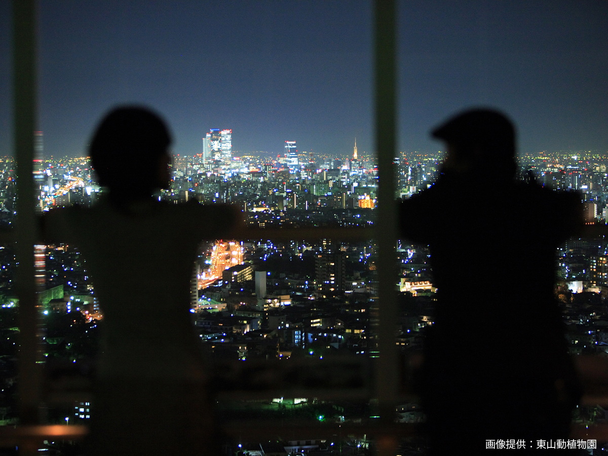 สวนสัตว์และสวนพฤกษศาสตร์ฮิกาชิยามะ และฮิกาชิยามะ สกายทาวเวอร์