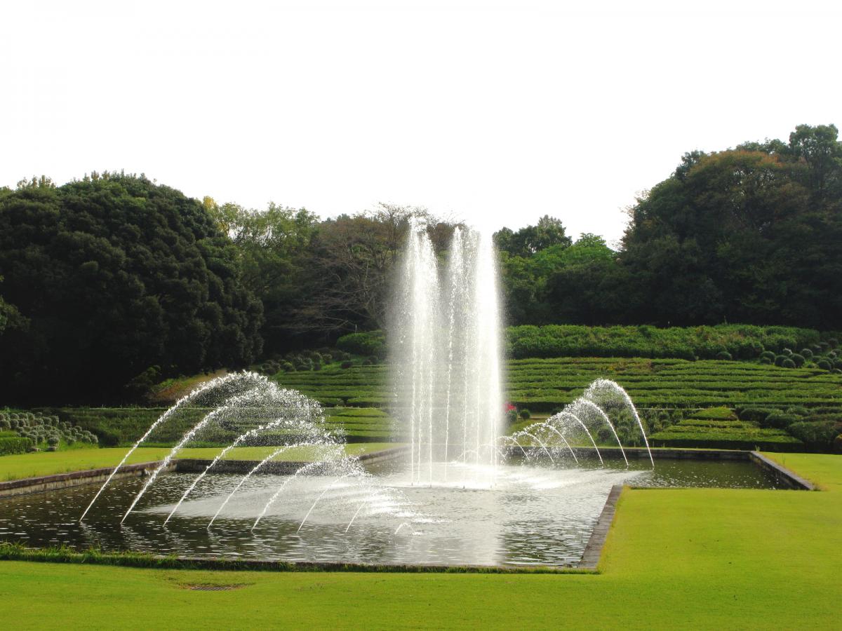 愛知縣森林公園
