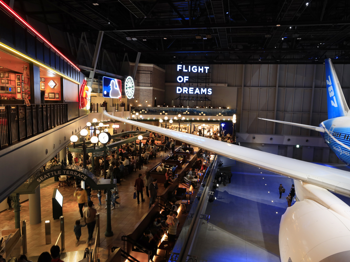 FLIGHT OF DREAMS