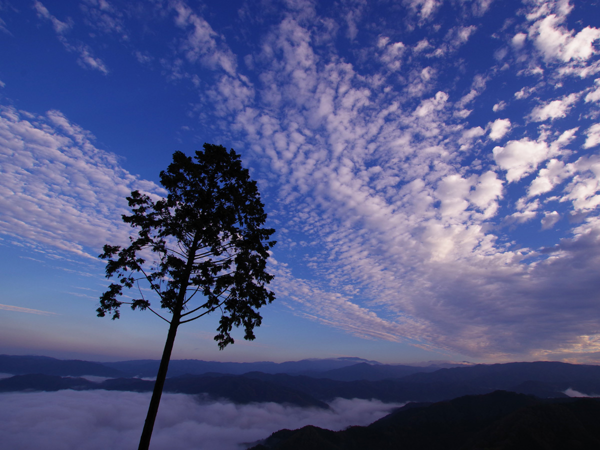 Sea of Clouds at Mt. Oshi (Oshiyama Unkai)