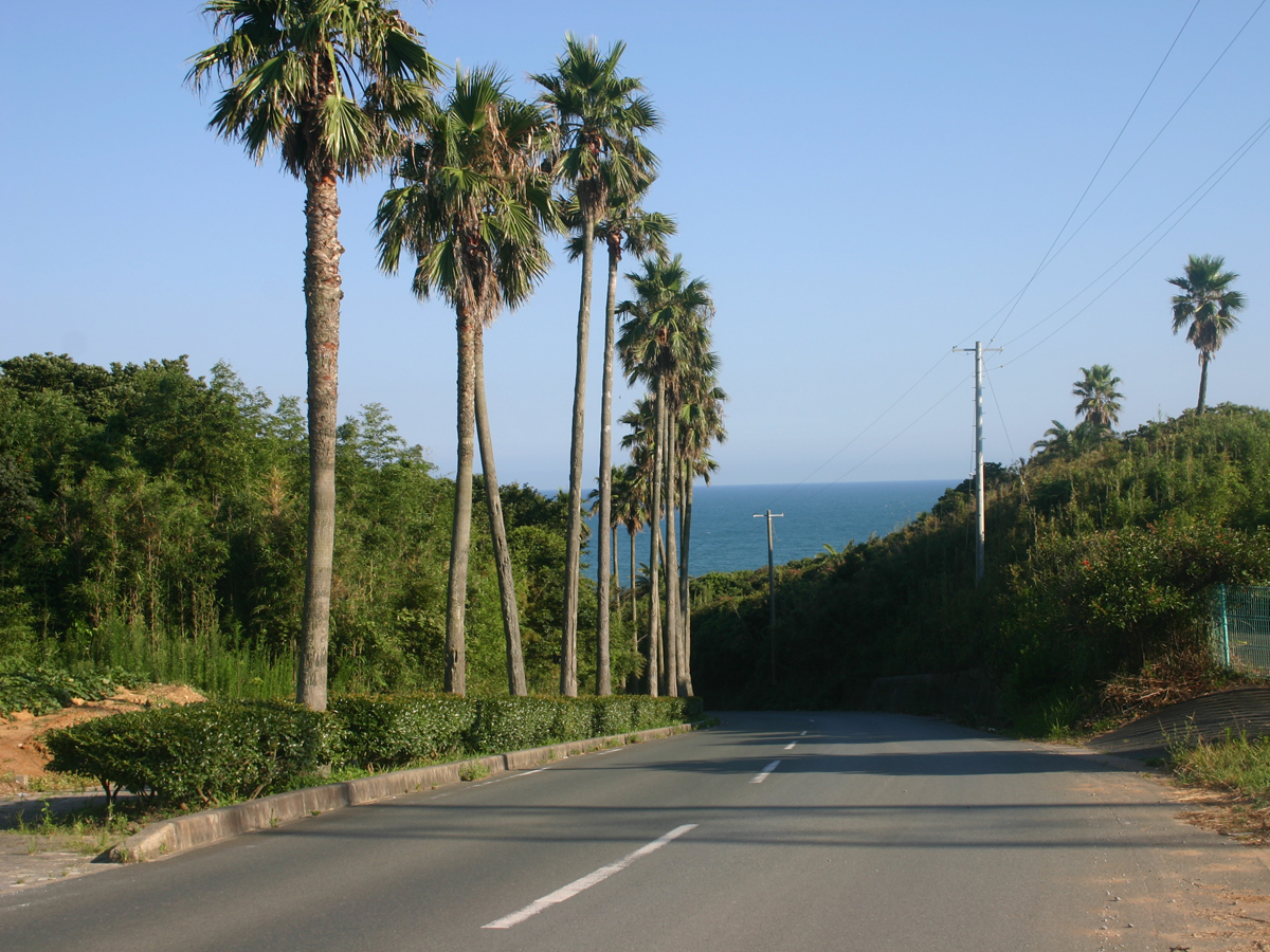 Pacific Long Beach and Oishi Shore