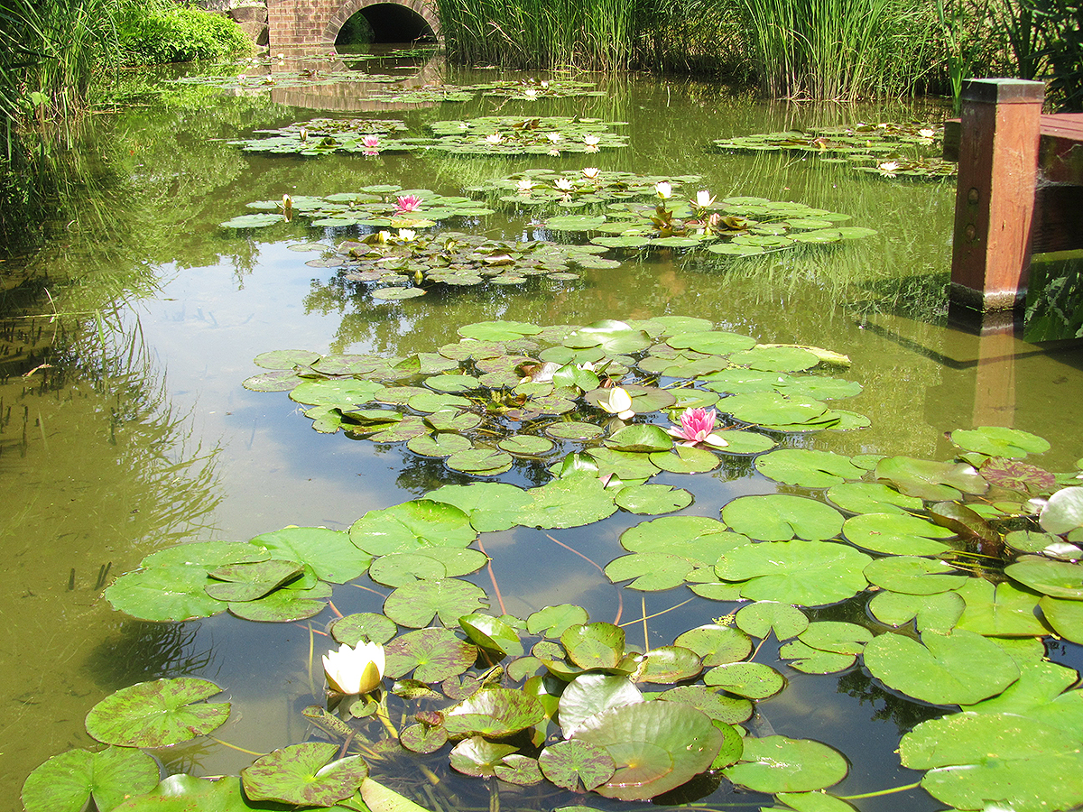 Toyohashi Zoo & Botanical Park (Non Hoi Park)