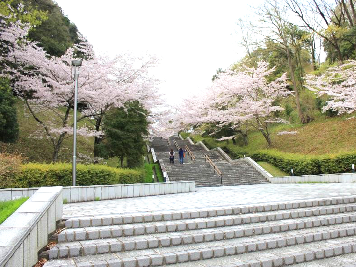 新城综合公园